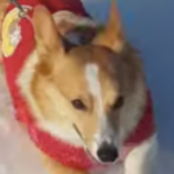 churububu